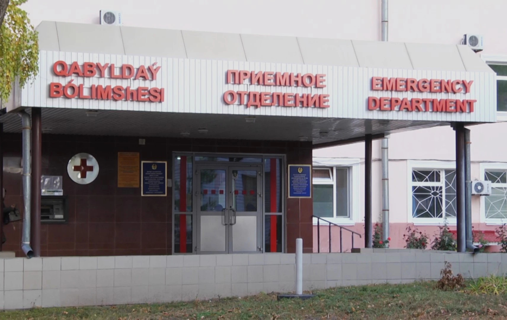 Ит пен мысық шабуылы көбейді: БҚО-да 2000 адам астам дәрігердің көмегіне жүгінген